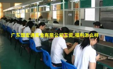廣東國宏通實業(yè)旅行社服務網(wǎng)點 專業(yè)旅游招徠，開啟精彩旅程