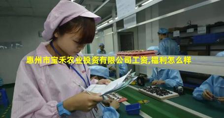 惠州市寶禾農(nóng)業(yè)投資 探索農(nóng)業(yè)旅游新路徑，開啟生態(tài)休閑新體驗